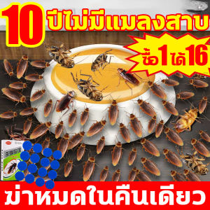 10 ปี ไม่มีแมลงสาบ ฆ่าแมลงสาบ ฆ่าหมดในคืนเดียว ยากำจัดแมลงสาบ 1 กล่อง 8 เม็ดล่อแมลงสาบ ได้ผล 100% ถูกต้อง ผู้นำ: 1 เม็ด 3 ปี