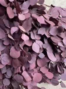 Nordic INS Natural Green Leaf Dry Flower Eternal Flower Apple Leaf Yunnan Base Direct Supply Home Decoration Ornamental Flower Pot