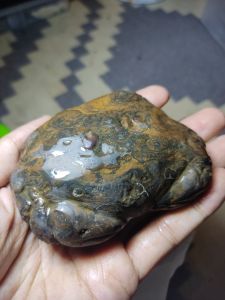 Batu posil patung kepiting purba natural temuan