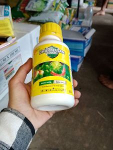DHARMASAN 600 EC 500 ml Insektisida Pengendali Hama Pada Tanaman