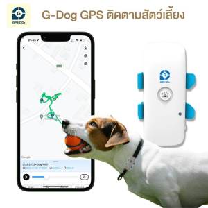 G-Dog GPS ติดตามสัตว์เลี้ยง ดูตำแหน่งสัตว์เลี้ยงแบบเรียลทาม บนโทรศัพท์มือถือ ติดตั้งโดยยึดกับปลอกคอสุนัข หรือปลอกคอแมวได้ ดูตำแหน่งของ GDog ผ่าน Application GPSDD