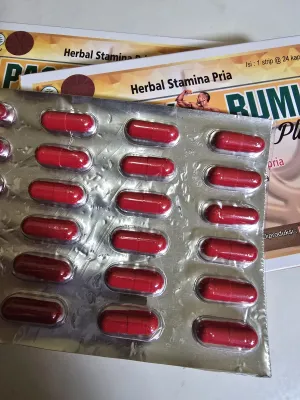 Kapsul merah pasak bumi ginseng isi 24