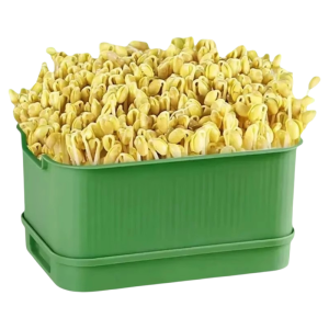 Automatic Sprouting Tray For Fresh Mung Bean Sprouts All Seasons Food Grade