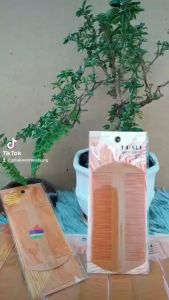 Lược bằng nhựa cao cấp lược dầy lược dày chải đầu lược chải chấy lược chải chí
