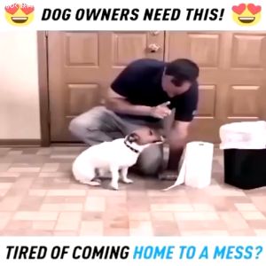 【COD】120ml Pet Toilet Training Inducer Dog Cat Positioning Defecation Potty Poop Training Spray Inducer Kencing Kucing