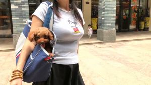 Pet backpack Portable pet bag cat backpack dog backpack pet travel bag pet handbag cat dog pet kennel shoulder bag