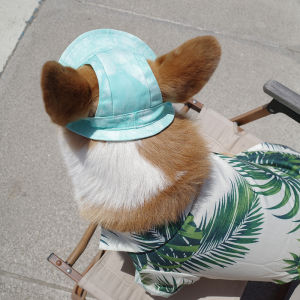 Pet Dog Outing Photography Trendy Sun Hat Exposed Ears Xiaohongshu Internet Celebrity Baseball Cap Adjustable Corgi