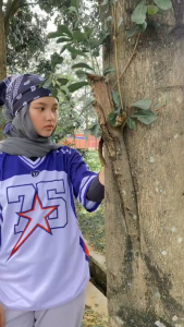 TWNB OVERSIZE JERSEY STAR55 - JERSEY OVERSIZE KOREA - JERSEY DRYFIT - JERSEY KAOS OVERSIZE - JERSEY VINTAGE - JERSEY HYPE