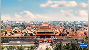 【SG】Beijing Tong Ren Tang Winter Melon Lotus Leaf lemon Tea Cut Oil Belly tea essential tea bag official flagship store