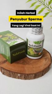 Obat Pengental Sperma Penyubur Sperma Vitamin Kesuburan Pria Solusi Mani Encer / Kosong Keloreena
