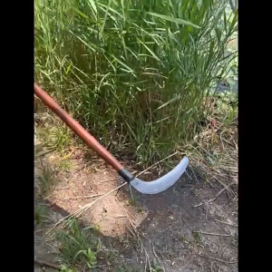 เคียวดายหญ้า มีดดายหญ้า แวกดายหญ้า ผลิตจากเหล็กแมงกานิส คมกริบ ขนาดใบมีด 30 เซนติเมตร ออกแบบข้อต่อเอียด 40 องศา ใช้งานสะดวกลดปวดเมื่อยจากการก้ม