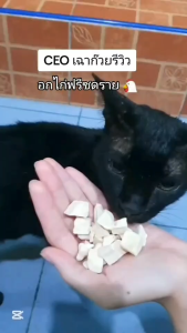 อกไก่ฟรีซดรายขนมน้องแมวขนมน้องหมา cat treat  ขนมน้องแมวน่ารัก