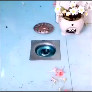 Cherry.Shop ผงขจัดสิ่งอุดตัน สำหรับท่ออุดตัน อ่างล้างจาน โถส้วม โถส้วมชักโครก ท่อระบายน้ำ และขยะ 260ml.