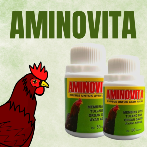 AMINOVITA BOTOL - khusus ayam Aduan meningkatkan massa otot