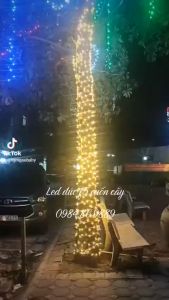 Led đúc F5 đế 9mm 12V ngoài trời đơn sắc dùng trang trí nhà quấn cây biển quảng cáo 1 bó 50 bóng led