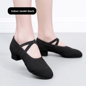 New Four Seasons Women Ballet Shoes Lady Soft Sole Non-Slip Teacher Shoes Adult Mid-Heel Dance Shoes Dance Practice Performances
