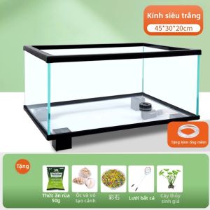 Yee | Nền Cảnh Quan Bể Cá Rùa