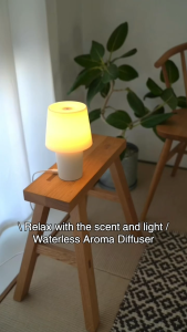 MUJI Waterless Aroma Diffuser