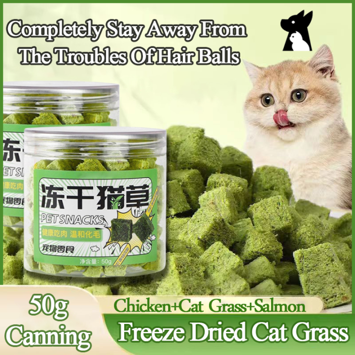 Picture of Freeze Dried Cat Grass 50g Chicken Cats Grasses Cube Molar Catnip ...