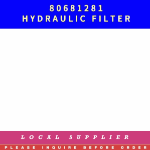 80681281 HYDRAULIC FILTER 17247753 1298528 [LOCAL STOCK. READY TO SHIP WITHIN 24HRS.] FOR VOLVO ABG ENGINE PART