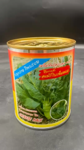 ปลาทอง คะน้าเห็ดหอม ขนาด 50 กรัม หมดอายุ 11/2569 คะน้า ปลูกง่าย ต้นอวบ แข็งแรง โตไว ทนต่อโรคและแมลง ระยะเก็บเกี่ยว 45-50 วัน