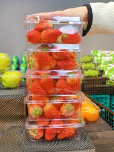 Fresh Yuan 500g Disposable Fruit Box Strawberries Grapefruit Packaging Box with Lid Plastic Container for Fruit Shop Supermarket