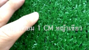 EAGOCRAFT หญ้าเทียม 1ซม ขนาด 1-10 ตรม กันUV คุณภาพดี เกรดเอ สำหรับตกแต่งสวน ตกแต่งบ้าน ร้านค้า หญ้าเทียมถูกๆ