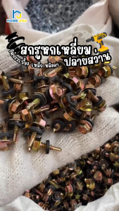 ชุด 20 ตัว สกรูหกเหลี่ยม ปลายสว่าน เบอร์ 10 M4.8 พร้อมแหวนยาง ยึดกระเบื้อง ยึดเหล็ก หลังคา แข็งแรง