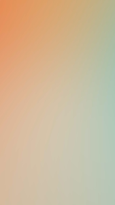 Alcatroz Airmouse L6 Rechargeable Wireless 2.4G Silent Mouse | 1600 CPI | Free MouseMat