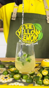 Lemon Calamansi Iced Mix Refreshing Citrus Juice Sweet Fruity Drink Beverage Powder Snackland