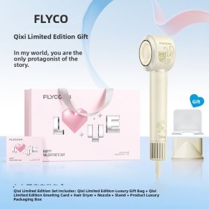 Flyco | High-speed Negative Ion Hair Care Blow Dryer