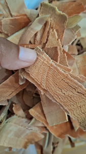 แก่นคูน คูณ แก่น แก่นคูณ เเก่นคูณหมาก แก่นคูณเคี้ยวหมาก แก่นคูน ไว้กินกับหมากหรือใช้ถวายพระ ทำพิธี