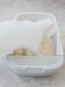 😺💗 กระบะทรายแมว รูปแบบขอบสูง พร้อมที่ตักทราย ห้องน้ำแมว ห้องน้ำแมว เป็นเขียนดิจิทัลของดักทราย รุ่นขอบสูง แท่นดักทรายกว้างขึ้น ลดทรายติดเท้าน้อง