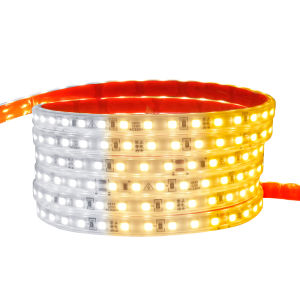 SHUOYU | RGB Adjustable Waterproof LED Strip 220V