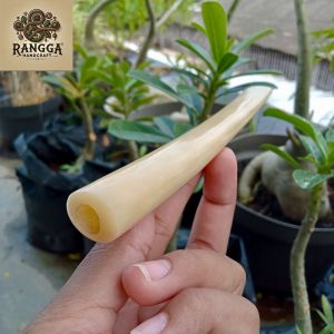 once pipa klokotan tulang sapi model bulat A42