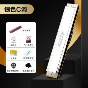 Easttop Professional Teaching Ultralight Chromatic Harmonica T2401S C Scale Ideal for Beginners Student Use And Performances