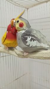 เนียน ดูเป็นธรรมชาติ เรียบง่าย สไตล์มินิมอล คอนลับเล็บ ทรงกิ่งไม้ ยาว 15 ซม. เพียง 31 บาท คอนลับเล็บนก สีขาว สไตล์มินิมอล คล้ายไม้จริงมาก คอนลับเล็บนก รูปทรงกิ่งไม้ กิ่งตรง ไม่มีกิ่งก้านแยก ไม่ใช่ทรงไม้ง่่าม ไม่ใช่ทรงตัวY เรียบง่าย กลมกลืมกับกรงนก ไม