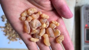 100g/50g Original Frankincense Cones Nipple Boswellia Promote Blood Circulation Incense Brock Oliban Medicine Hydrosol