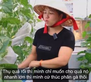 [Túi 5kg] Phân Gà Nhật AKI ĐGT Viên Nén Hữu Cơ Tan Chậm