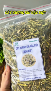500g Cây Xương Khỉ (Cây Bìm Bịp) Loại 1 Đức Thiện - (Khô Sạch Thơm) - Hỗ Trợ Điều Trị Men Gan Cao Ung Thư Đau Nhức Xương Khớp