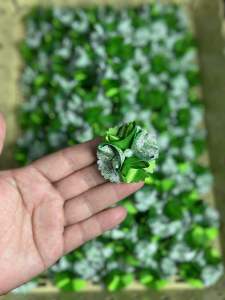 ดอกบุญตา โปรยทานงายบวช