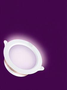 Philips | Intelligent Colorful Anti-glare Recessed Light