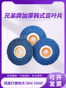 BROTHER Soft Louvre Blade Polishing Pad Korean Style Flower Impeller Angle Grinder Polishing Pad Stainless Steel Flap Disc 100