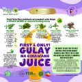 Yourdailydose! Youthful Glow Collagelly Made In Japan By First Vita Plus And Satoen [Health Pack]. 