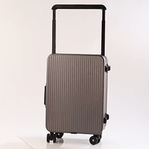 SG Stock suitcase luggage 20/24 inch laggage travel All-aluminum alloy casing TSA Customs Lock