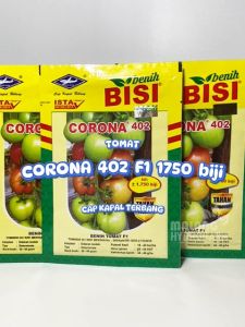 Benih Tomat Sayur Corona 402 Hibrida F1 1750 biji Cap Kapal Terbang dataran rendah biji bibit Comodor sambal sambel hydroponik hidroponik