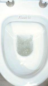 Magiclean Toilet Bleach Regular 500ml | Kills 99.9% Germs | Powerful Stain & Odor Remover