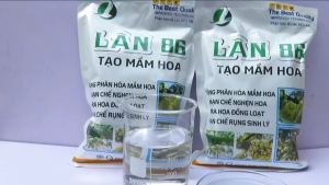 LÂN 86 (GÓI 1KG) - TẠO MẦM HOA