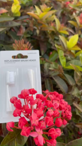 ĐẦU BÀN CHẢI ĐIỆN THAY THẾ LOCKnLOCK ENR344_BRS