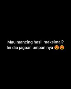 Umpan Ikan Mas Komplit Kroto / Umpan Ikan Mas GALAPUNG / Umpan Ikan Mas Lomba / Umpan Ikan Mas Siap Pakai